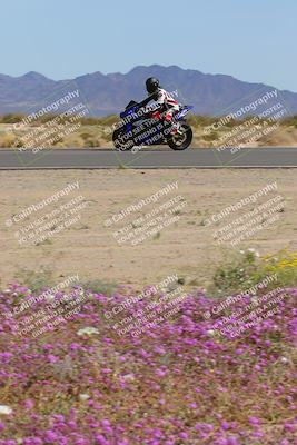 media/Mar-12-2023-SoCal Trackdays (Sun) [[d4c8249724]]/Turn 15 Inside Bloom (130pm)/